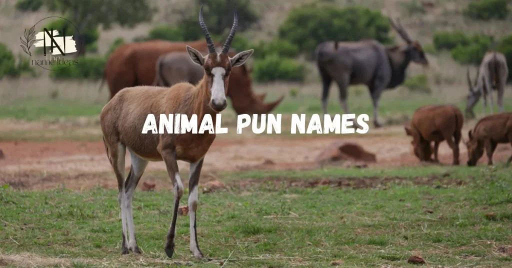 animal pun names