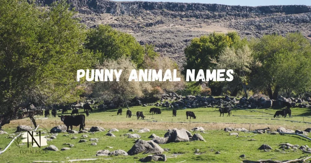 punny animal names