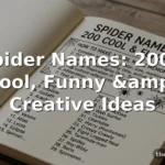 Spider Names: 200+ Cool, Funny & Creative Ideas